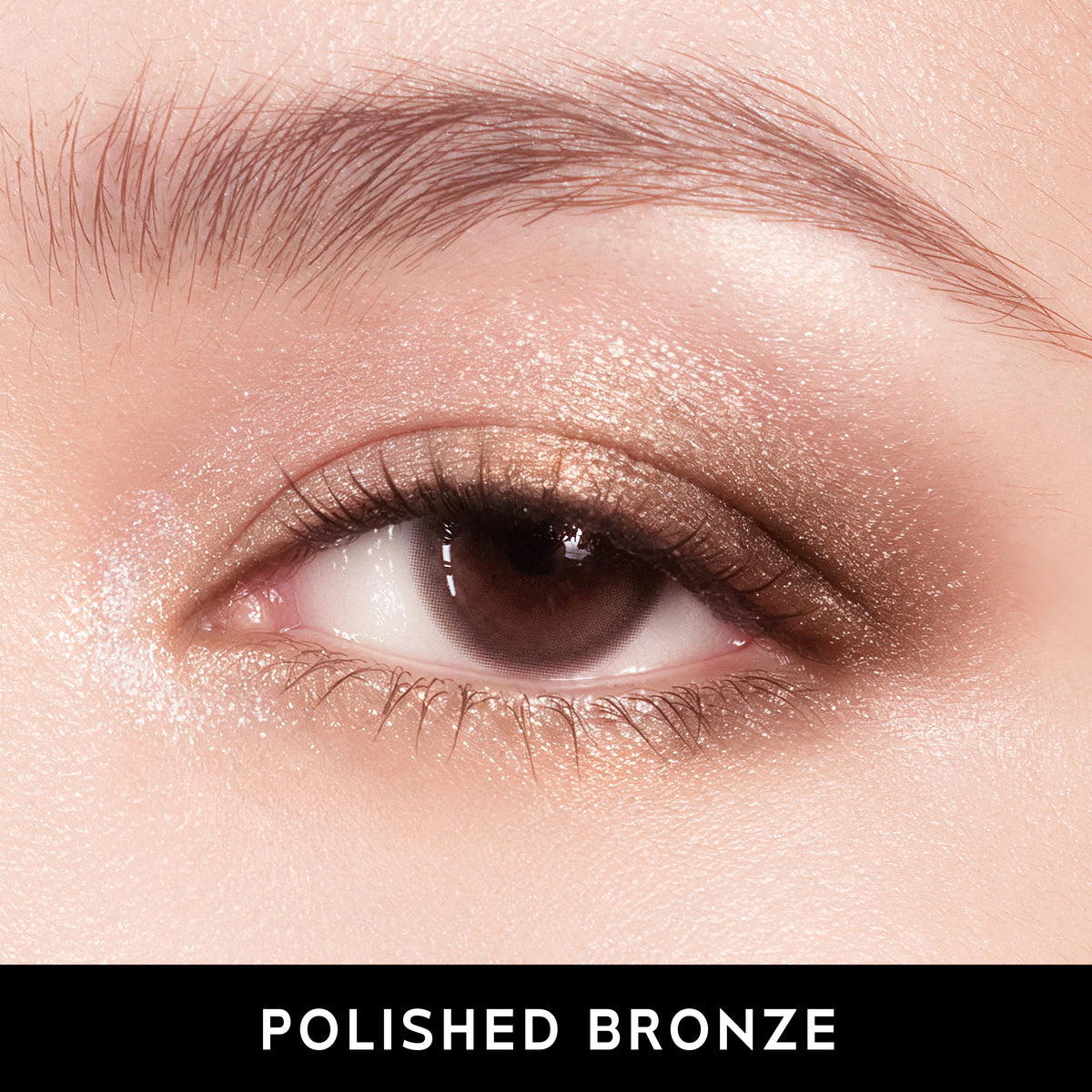 Polished Bronze
